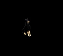 702501_457443.jpg