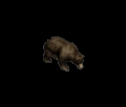 101858_124945.jpg