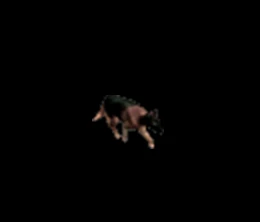 883769_946037.jpg