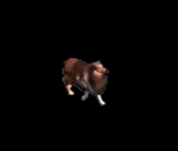 693831_391063.jpg