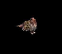 674360_28303.jpg