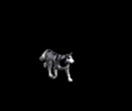 137472_862196.jpg