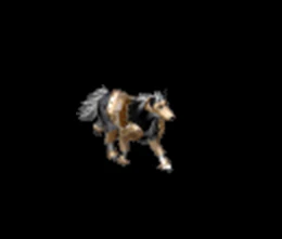 803951_903969.jpg