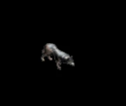 580427_979809.jpg