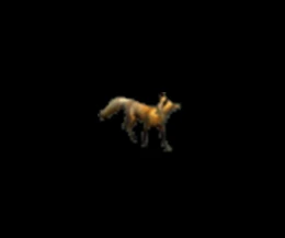 494075_601197.jpg